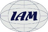 Менеджмент международного уровня